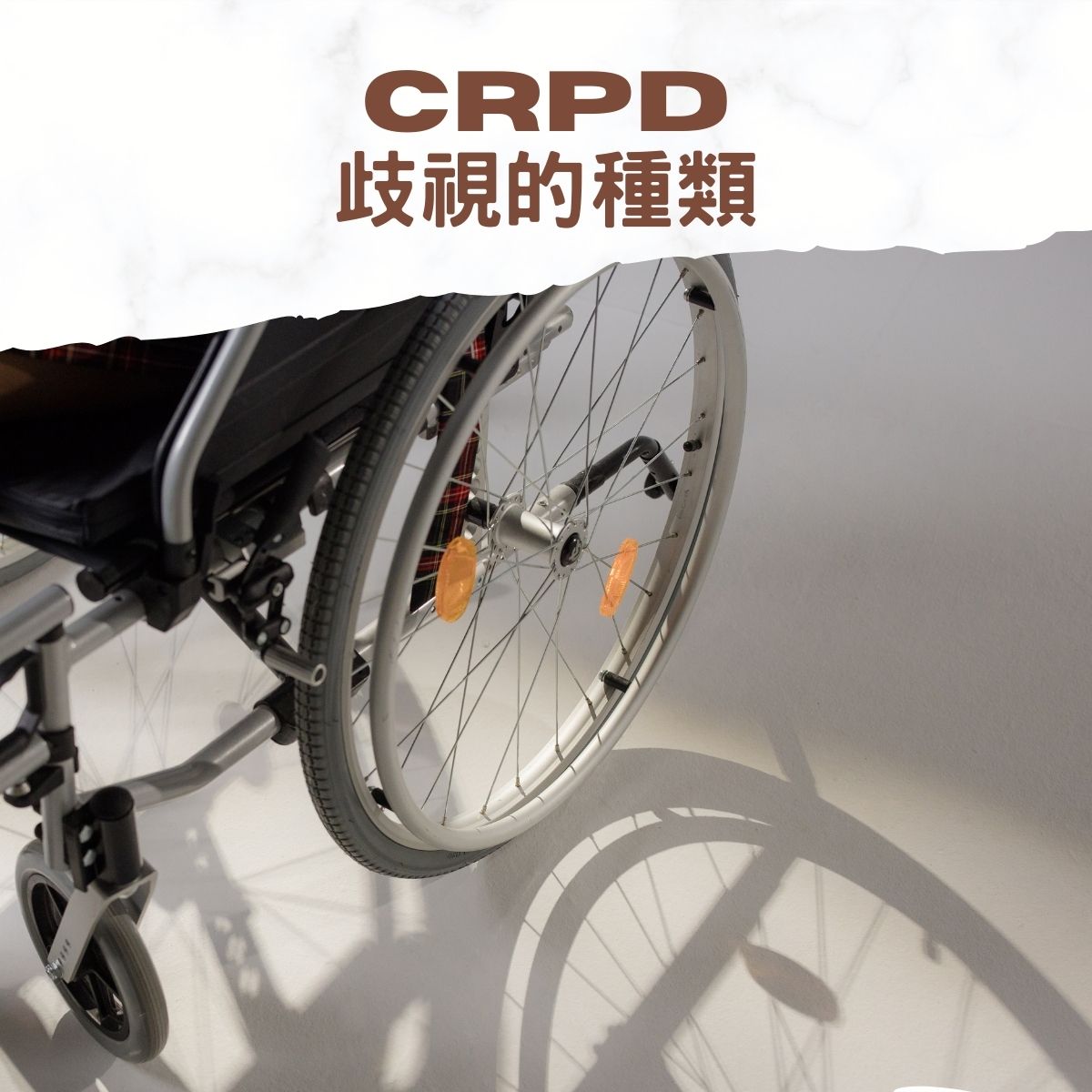 【身心障礙發展】－CRPD倡議：歧視的種類